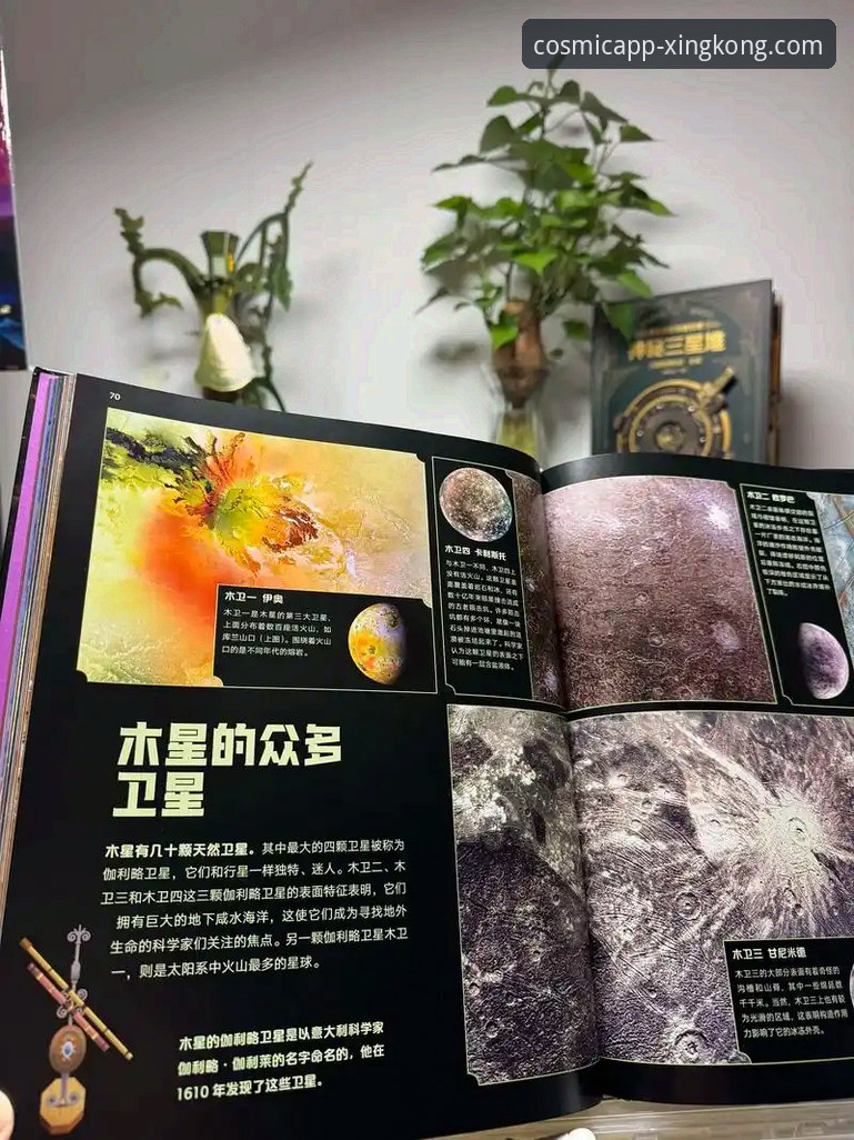 掌握星空官网数据加密的关键：新手必读的实用安全指南