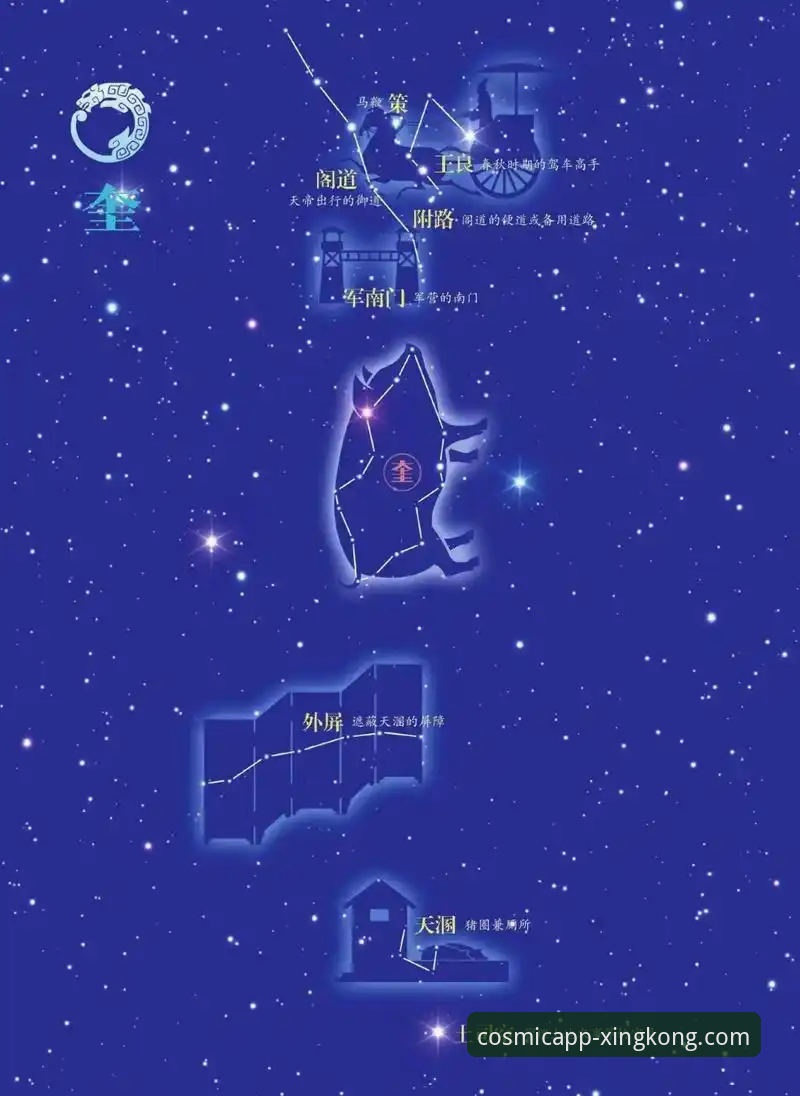 星空娱乐平台使用技巧揭秘：老用户才知道的5个高效玩法